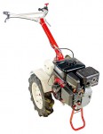 Acheter ЗиД Фаворит МБ-3 tracteur à chenilles facile essence en ligne