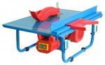 Buy Top Machine TS-200/600A circular saw machine online