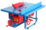 Buy Top Machine TS-200/800D circular saw machine online