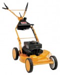 Buy self-propelled lawn mower AS-Motor AS 53 B5 petrol online