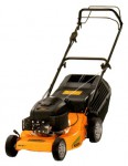 Buy lawn mower ALPINA FL 46 LMG petrol online