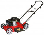 Buy lawn mower DDE WYS21-WD65 petrol online