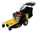 Buy self-propelled lawn mower Eurosystems Professionale 67 Electric starter rear-wheel drive online
