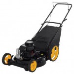 Buy lawn mower PARTNER 4053 CM online