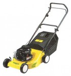 Buy self-propelled lawn mower ALPINA FL 46 LS petrol online