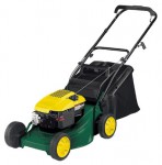 Buy lawn mower Yard-Man YM 5519 PO online