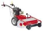 Buy self-propelled lawn mower Meccanica Benassi TR 60 online