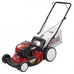 Buy lawn mower CRAFTSMAN 38908 petrol online