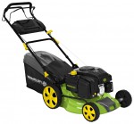 Buy lawn mower Fieldmann FZR 3006-B online