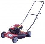 Buy lawn mower Lifan XSS51 online