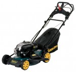 Buy self-propelled lawn mower Yard-Man YM 7019 SPB online