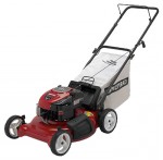 Buy lawn mower CRAFTSMAN 38842 petrol online